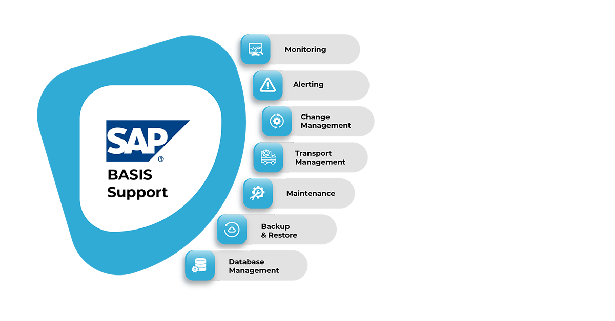 SAP BASIS Services